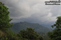 Sri-Lanka-Dambula-2018-foto495-20034