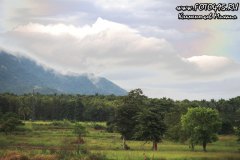 Sri-Lanka-Dambula-2018-foto495-30037