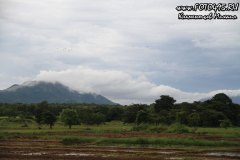 Sri-Lanka-Dambula-2018-foto495-30039