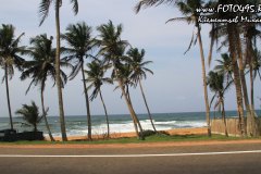 Sri-Lanka-2018-foto495-10008