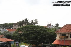 Sri-Lanka-2018-foto495-20006