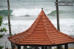 Sri-Lanka-hotel-Lanka-Super-Corals-2018-4010
