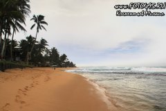 Sri-Lanka-hotel-Lanka-Super-Corals-2018-4014