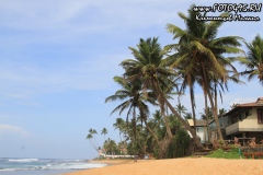 Sri-Lanka-hotel-Lanka-Super-Corals-2018-7014