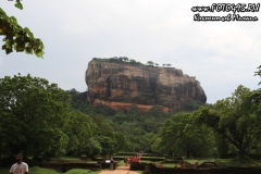 Sri-Lanka-Sigiriya-2018-foto495-10033